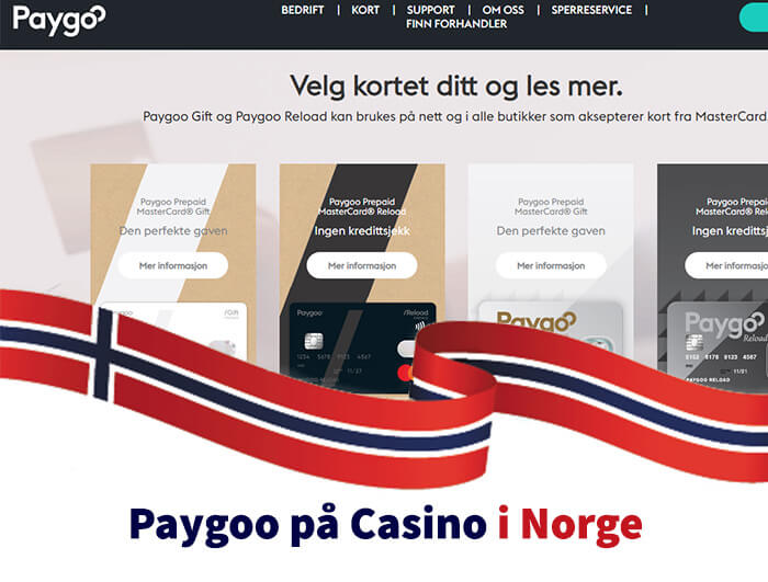 Paygoo Casino Guide